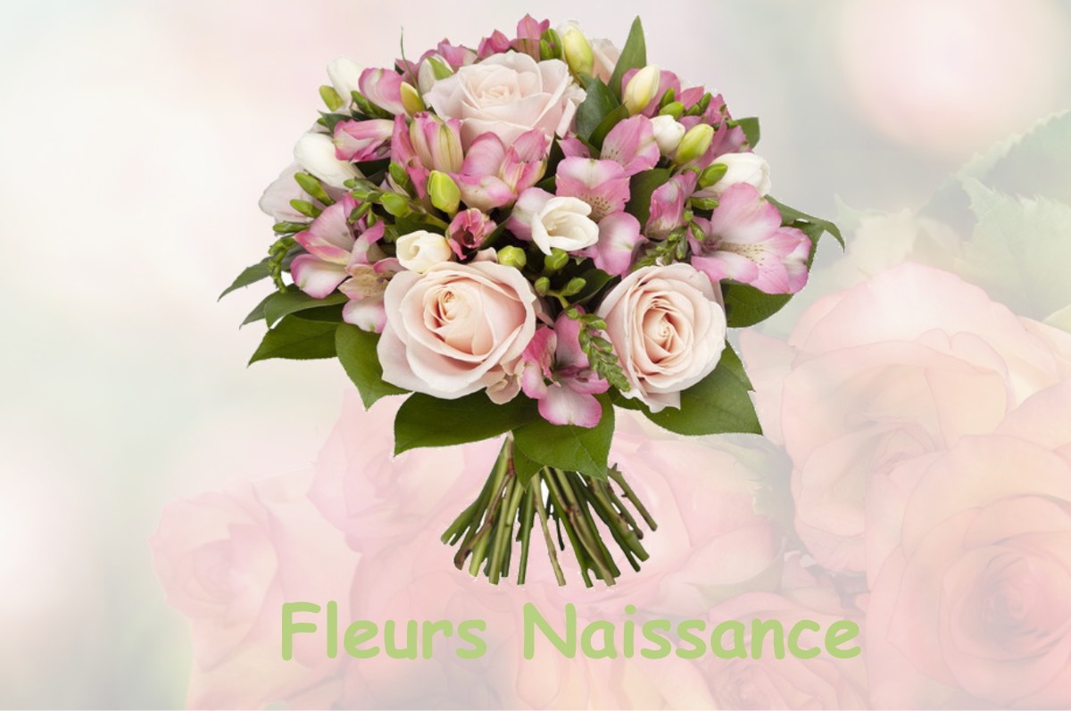 fleurs naissance SAINT-PAUL-DE-VARAX